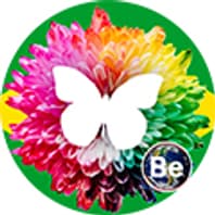Instituto Brasileiro De Terapias Holística